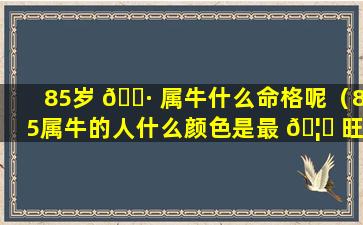 85岁 🕷 属牛什么命格呢（85属牛的人什么颜色是最 🦋 旺的）